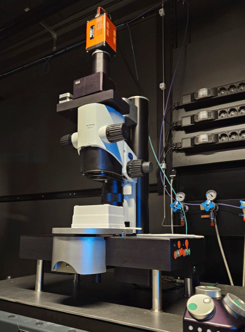 Light Sheet Microscope