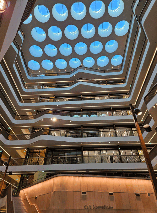 Karolinska Institute